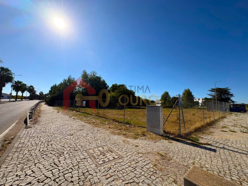 Terreno para Venda em São Bras e São Lourenço Foto 3