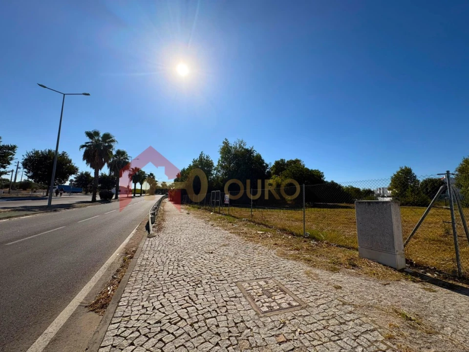 Terreno para Venda em São Bras e São Lourenço Foto 9