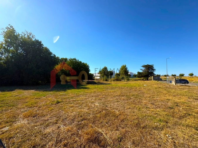 Terreno para Venda em São Bras e São Lourenço Foto 7