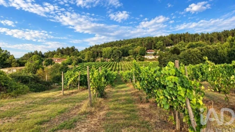 Quinta para Venda em Vila Boa do Bispo