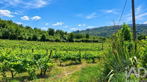Quinta para Venda em Vila Boa do Bispo