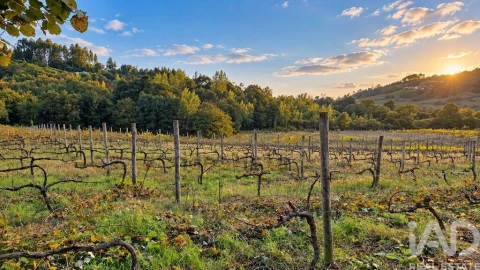 Quinta para Venda em Vila Boa do Bispo