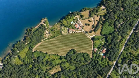 Quinta para Venda em Vila Boa do Bispo