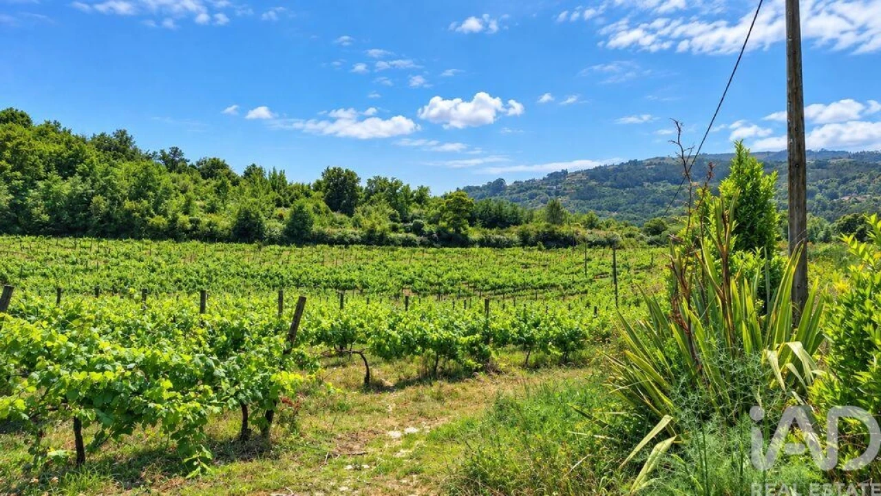 Quinta para Venda em Vila Boa do Bispo Foto 16