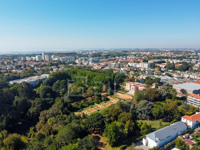Apartamento T4 para Venda em Lordelo do Ouro e Massarelos Foto 19