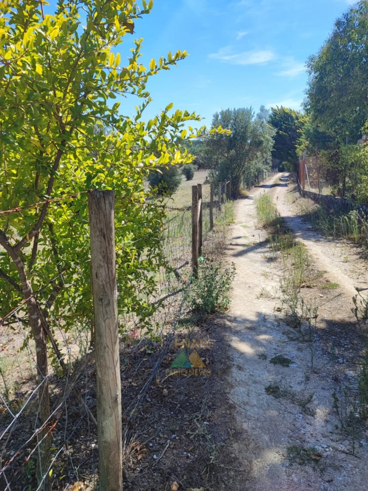 Quinta T20 para Venda em Torres Novas (Santa Maria, Salvador e Santiago) Foto 9
