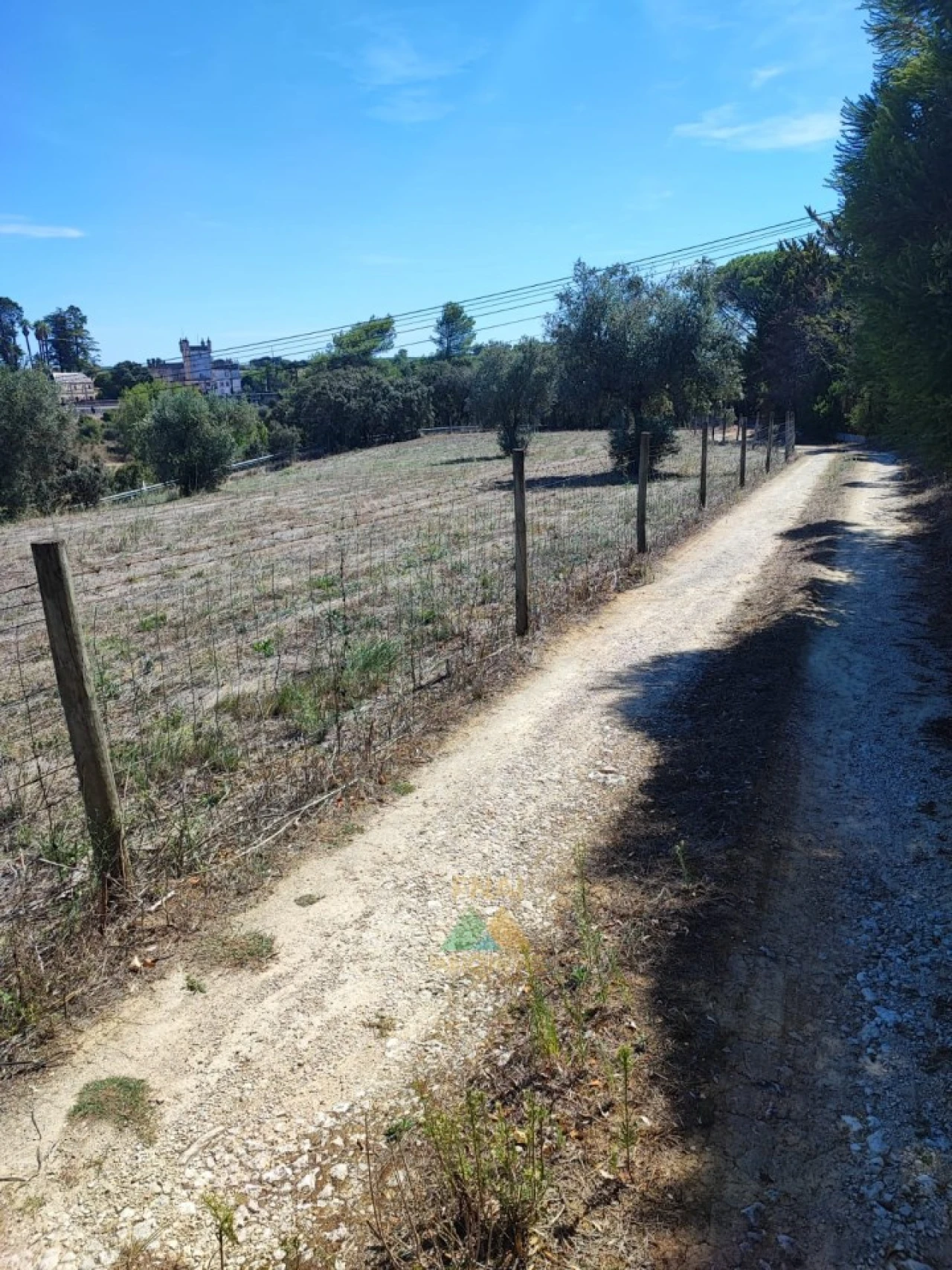 Quinta T20 para Venda em Torres Novas (Santa Maria, Salvador e Santiago) Foto 13