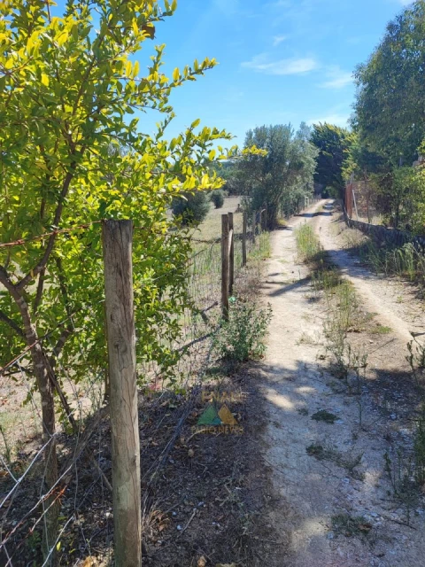 Quinta T20 para Venda em Torres Novas (Santa Maria, Salvador e Santiago)