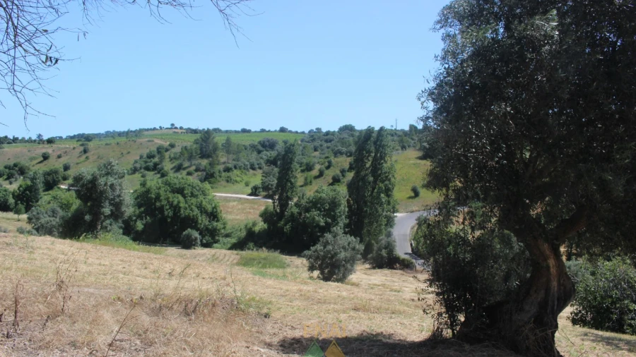 Quinta T20 para Venda em Torres Novas (Santa Maria, Salvador e Santiago)