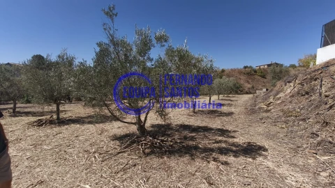 Terreno para Venda em Alte