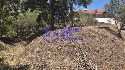 Terreno para Venda em Alte