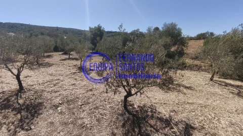 Terreno para Venda em Alte