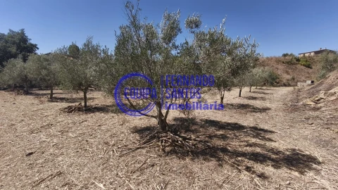 Terreno para Venda em Alte