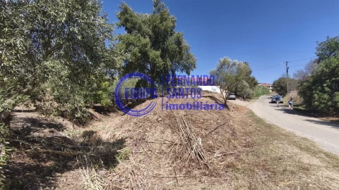 Terreno para Venda em Alte