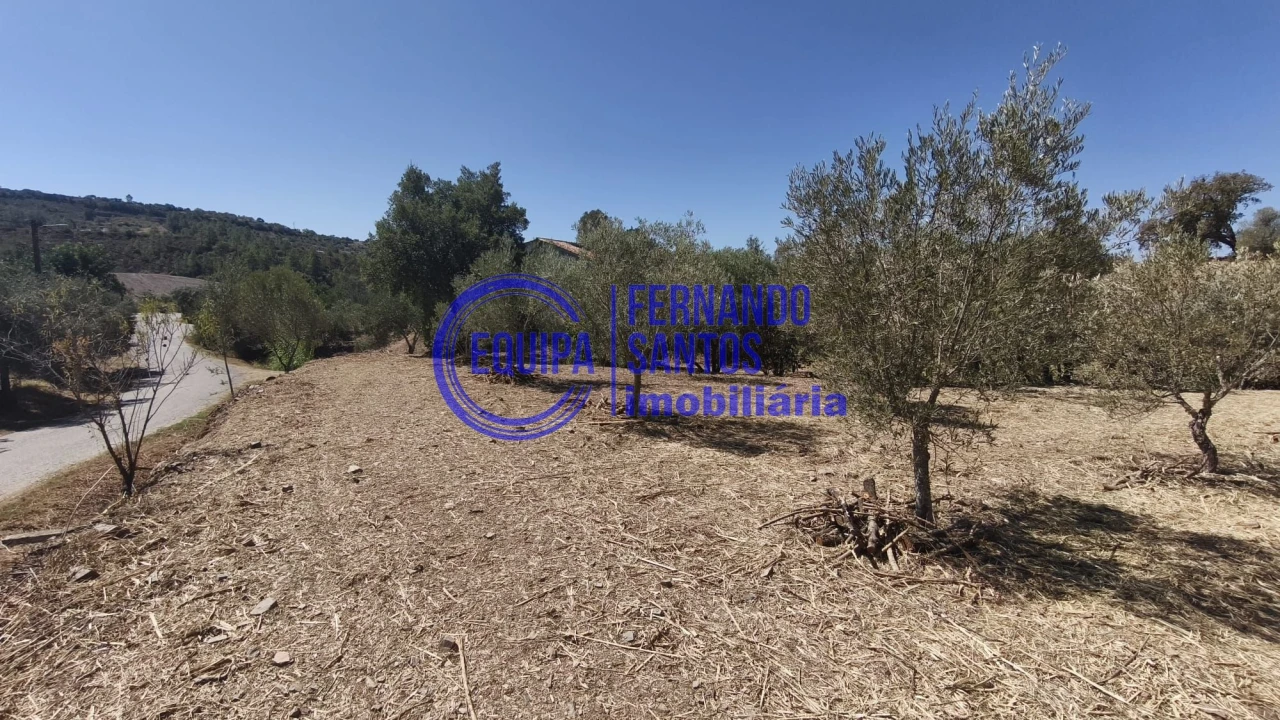 Terreno para Venda em Alte Foto 3