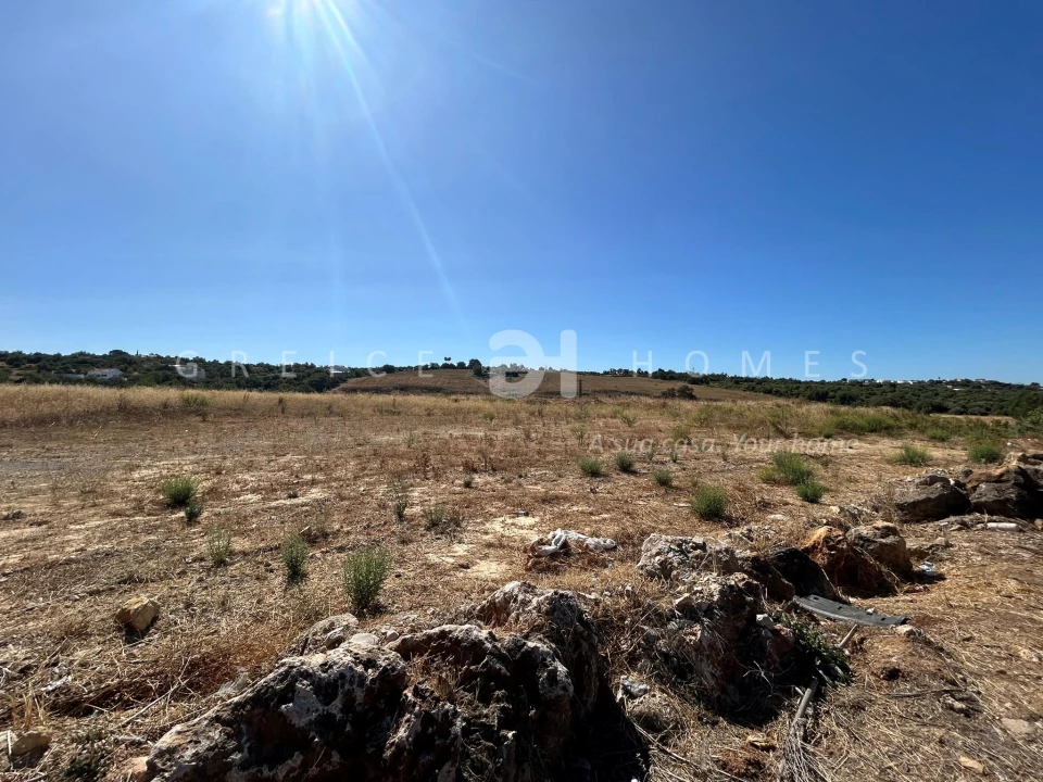 Terreno para Venda em Loule (São Clemente) Foto 3
