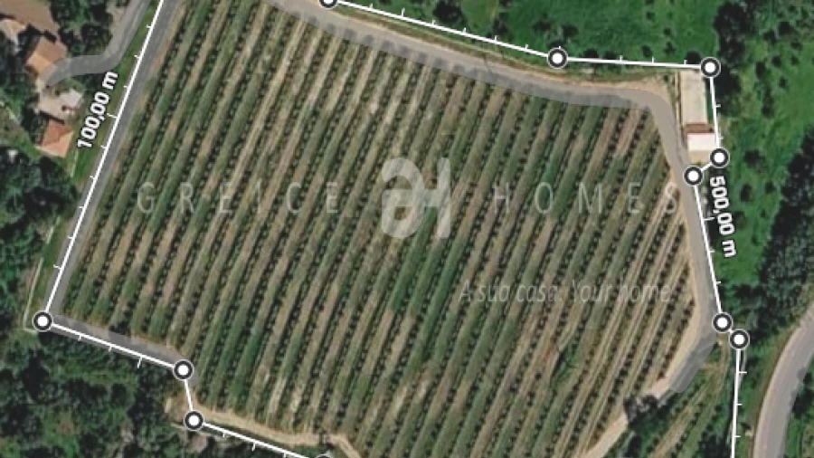 Terreno para Venda em São Brás de Alportel