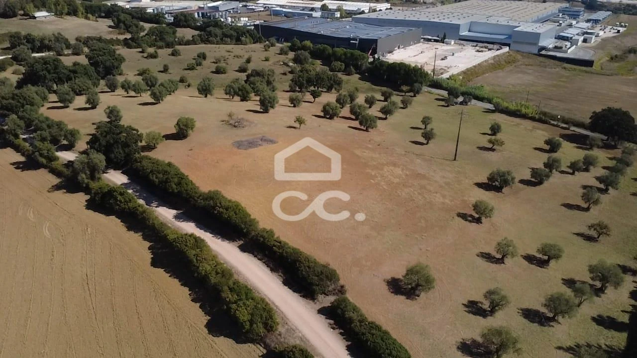 Terreno para Venda em Torres Novas (Santa Maria, Salvador e Santiago) Foto 37