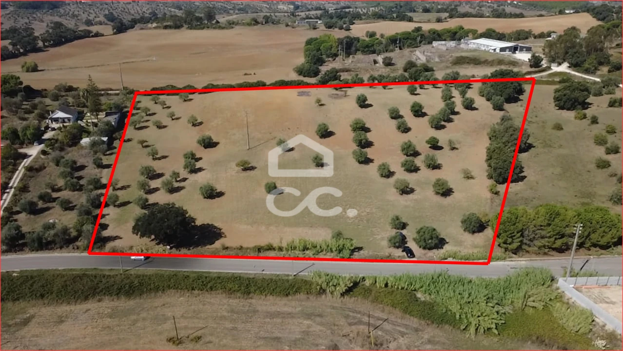 Terreno para Venda em Torres Novas (Santa Maria, Salvador e Santiago) Foto 1