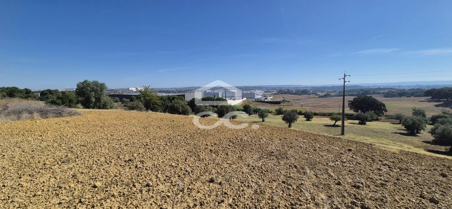 Terreno para Venda em Torres Novas (Santa Maria, Salvador e Santiago) Foto 13