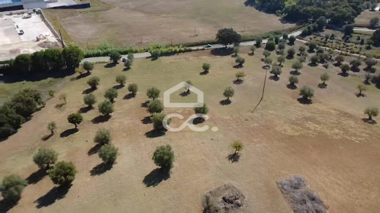 Terreno para Venda em Torres Novas (Santa Maria, Salvador e Santiago) Foto 31