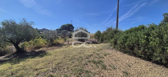 Terreno para Venda em Torres Novas (Santa Maria, Salvador e Santiago)