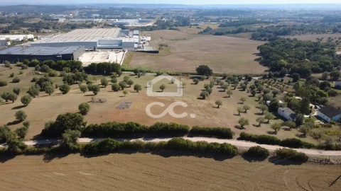 Terreno para Venda em Torres Novas (Santa Maria, Salvador e Santiago)
