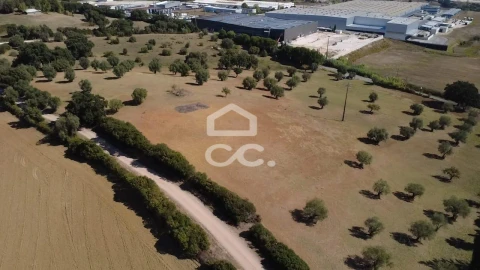 Terreno para Venda em Torres Novas (Santa Maria, Salvador e Santiago)