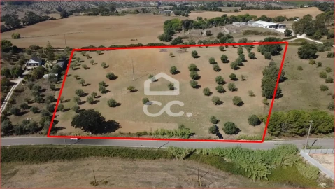 Terreno para Venda em Torres Novas (Santa Maria, Salvador e Santiago)
