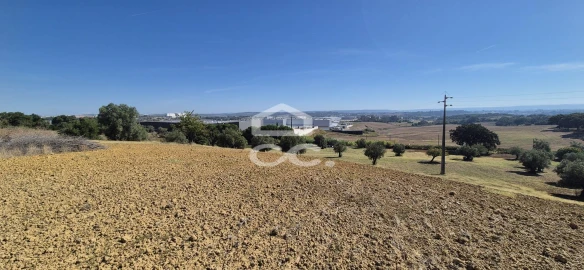 Terreno para Venda em Torres Novas (Santa Maria, Salvador e Santiago)