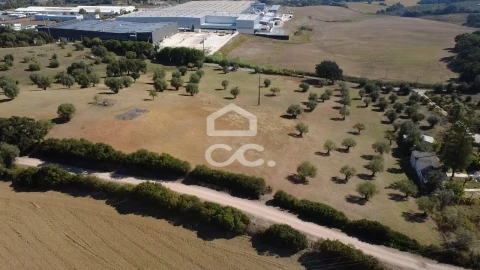 Terreno para Venda em Torres Novas (Santa Maria, Salvador e Santiago)