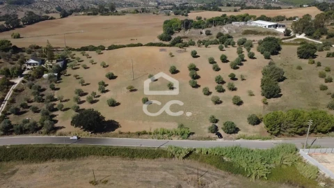 Terreno para Venda em Torres Novas (Santa Maria, Salvador e Santiago)