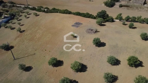 Terreno para Venda em Torres Novas (Santa Maria, Salvador e Santiago)