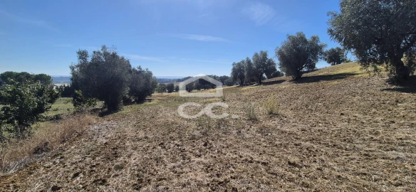 Terreno para Venda em Torres Novas (Santa Maria, Salvador e Santiago)