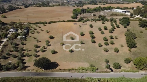 Terreno para Venda em Torres Novas (Santa Maria, Salvador e Santiago)