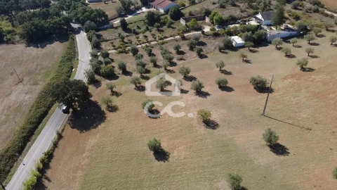 Terreno para Venda em Torres Novas (Santa Maria, Salvador e Santiago)