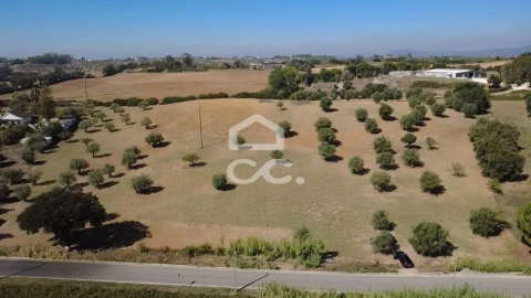 Terreno para Venda em Torres Novas (Santa Maria, Salvador e Santiago)