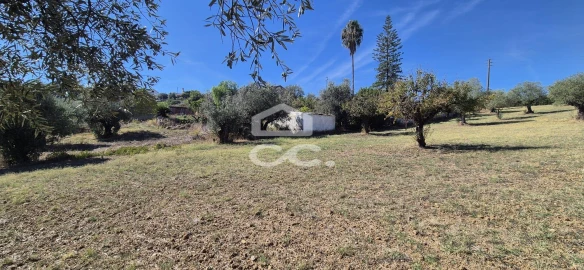Terreno para Venda em Torres Novas (Santa Maria, Salvador e Santiago)
