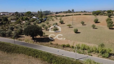 Terreno para Venda em Torres Novas (Santa Maria, Salvador e Santiago)