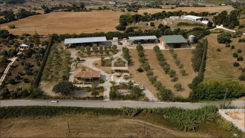 Terreno para Venda em Torres Novas (Santa Maria, Salvador e Santiago)
