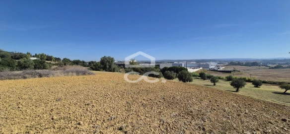 Terreno para Venda em Torres Novas (Santa Maria, Salvador e Santiago)