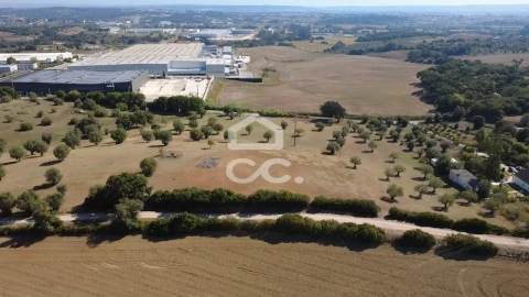 Terreno para Venda em Torres Novas (Santa Maria, Salvador e Santiago)