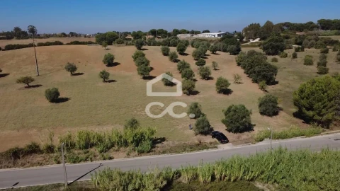 Terreno para Venda em Torres Novas (Santa Maria, Salvador e Santiago)