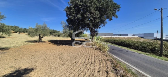 Terreno para Venda em Torres Novas (Santa Maria, Salvador e Santiago)