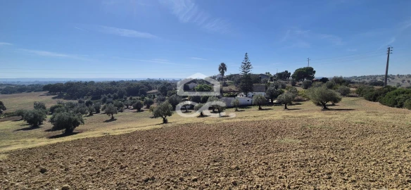 Terreno para Venda em Torres Novas (Santa Maria, Salvador e Santiago)