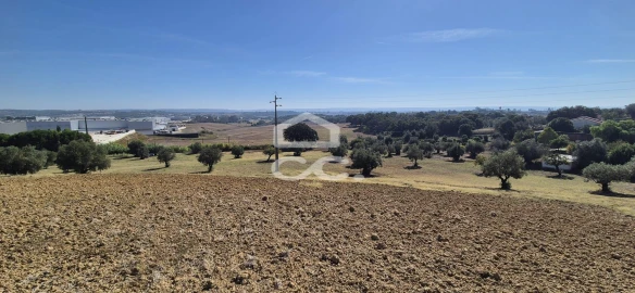 Terreno para Venda em Torres Novas (Santa Maria, Salvador e Santiago)