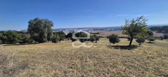 Terreno para Venda em Torres Novas (Santa Maria, Salvador e Santiago)