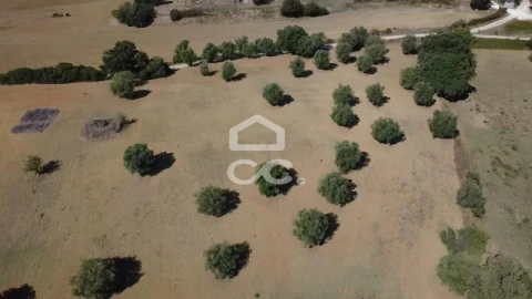 Terreno para Venda em Torres Novas (Santa Maria, Salvador e Santiago)