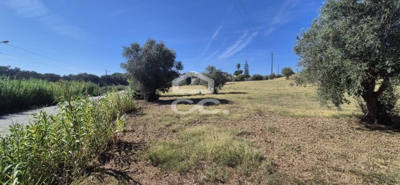 Terreno para Venda em Torres Novas (Santa Maria, Salvador e Santiago)