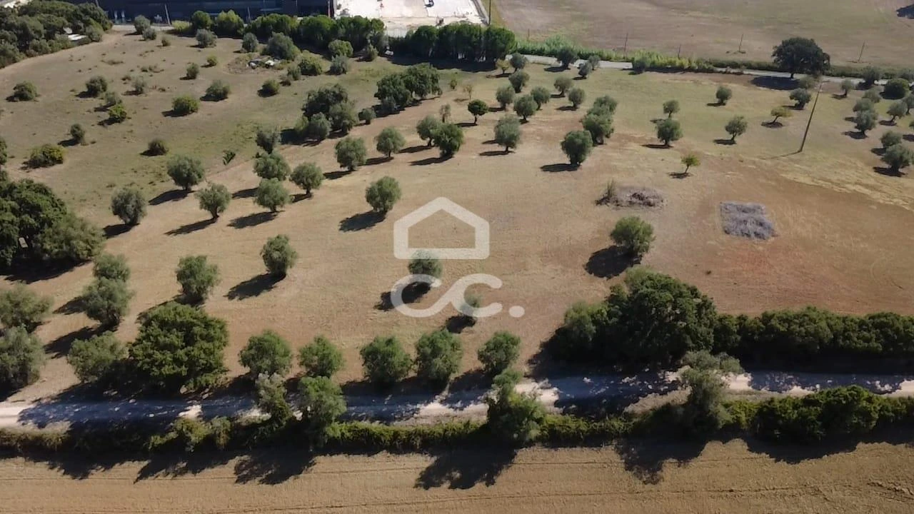 Terreno para Venda em Torres Novas (Santa Maria, Salvador e Santiago) Foto 32